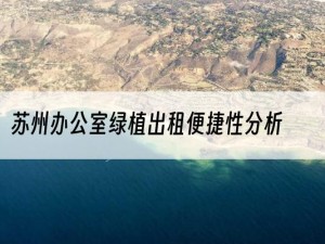 苏州办公室绿植出租便捷性分析