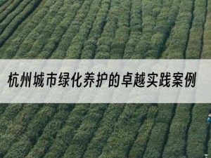 杭州城市绿化养护的卓越实践案例