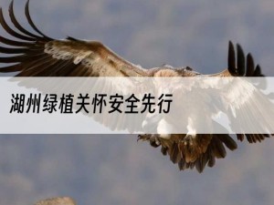 湖州绿植关怀安全先行