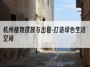 杭州植物摆放与出租-打造绿色生活空间