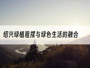 绍兴绿植租摆与绿色生活的融合