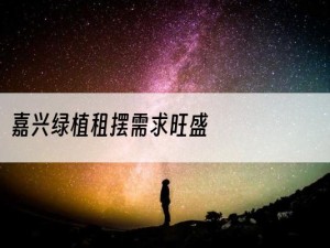 嘉兴绿植租摆需求旺盛