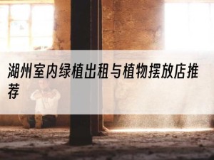 湖州室内绿植出租与植物摆放店推荐