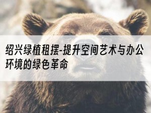 绍兴绿植租摆-提升空间艺术与办公环境的绿色革命