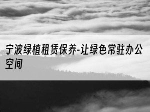 宁波绿植租赁保养-让绿色常驻办公空间