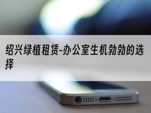 绍兴绿植租赁-办公室生机勃勃的选择