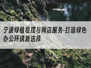 宁波绿植租摆与网店服务-打造绿色办公环境新选择