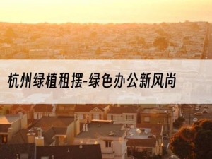 杭州绿植租摆-绿色办公新风尚