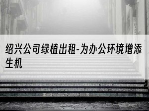 绍兴公司绿植出租-为办公环境增添生机