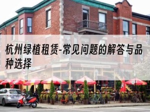 杭州绿植租赁-常见问题的解答与品种选择