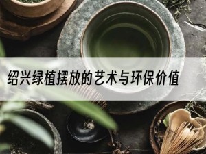 绍兴绿植摆放的艺术与环保价值
