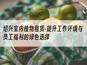绍兴室内植物租赁-提升工作环境与员工福利的绿色选择