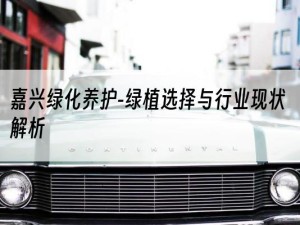 嘉兴绿化养护-绿植选择与行业现状解析