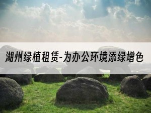 湖州绿植租赁-为办公环境添绿增色