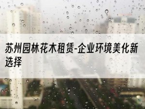 苏州园林花木租赁-企业环境美化新选择