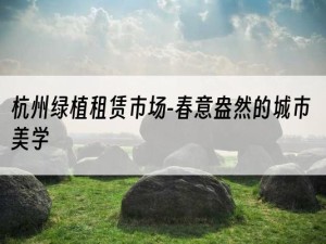 杭州绿植租赁市场-春意盎然的城市美学