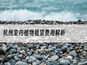 杭州室内植物租赁费用解析