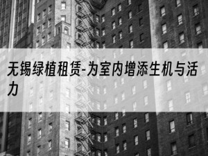 无锡绿植租赁-为室内增添生机与活力