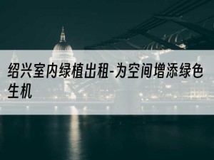 绍兴室内绿植出租-为空间增添绿色生机