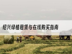 绍兴绿植租赁与在线购买指南