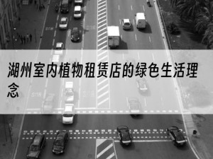 湖州室内植物租赁店的绿色生活理念