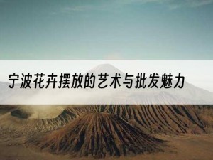 宁波花卉摆放的艺术与批发魅力