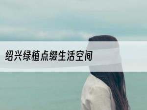 绍兴绿植点缀生活空间