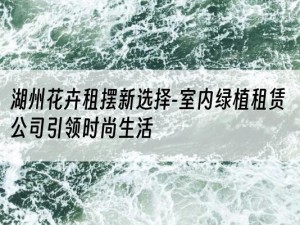 湖州花卉租摆新选择-室内绿植租赁公司引领时尚生活