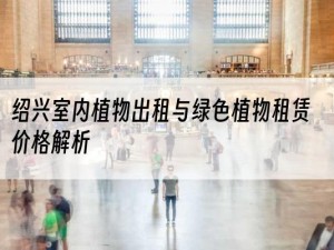 绍兴室内植物出租与绿色植物租赁价格解析