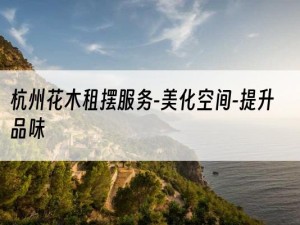 杭州花木租摆服务-美化空间-提升品味