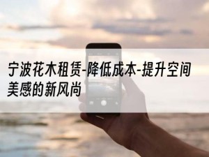 宁波花木租赁-降低成本-提升空间美感的新风尚