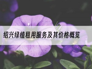 绍兴绿植租用服务及其价格概览