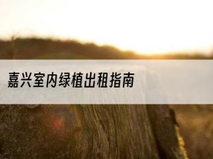 嘉兴室内绿植出租指南