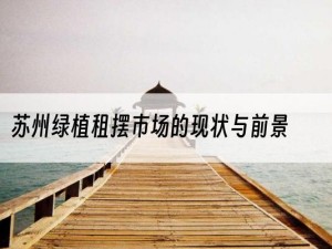 苏州绿植租摆市场的现状与前景