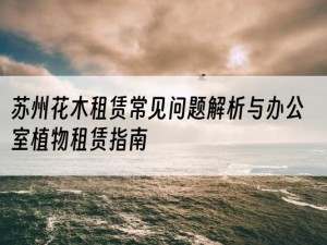苏州花木租赁常见问题解析与办公室植物租赁指南