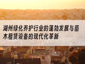 湖州绿化养护行业的蓬勃发展与苗木租赁设备的现代化革新