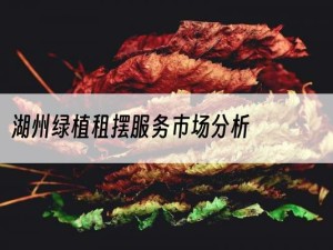 湖州绿植租摆服务市场分析