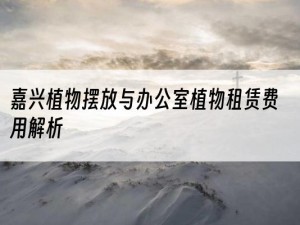 嘉兴植物摆放与办公室植物租赁费用解析