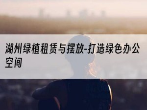 湖州绿植租赁与摆放-打造绿色办公空间