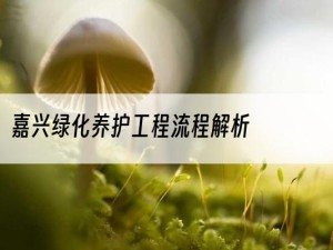 嘉兴绿化养护工程流程解析