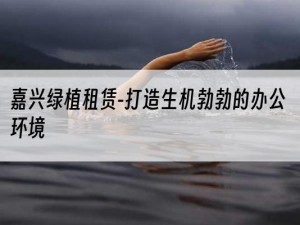 嘉兴绿植租赁-打造生机勃勃的办公环境