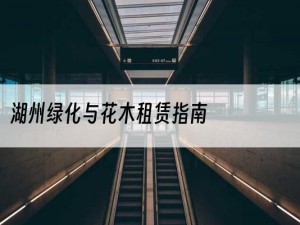 湖州绿化与花木租赁指南
