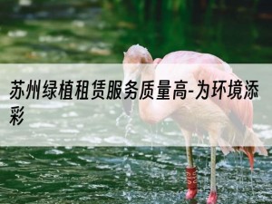 苏州绿植租赁服务质量高-为环境添彩