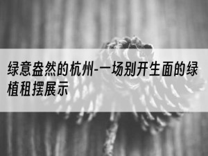 绿意盎然的杭州-一场别开生面的绿植租摆展示