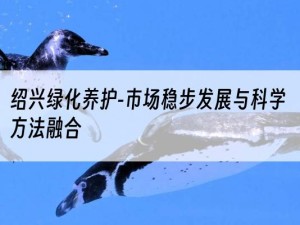 绍兴绿化养护-市场稳步发展与科学方法融合