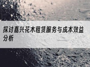 探讨嘉兴花木租赁服务与成本效益分析