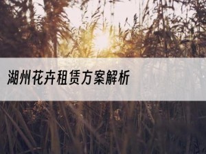 湖州花卉租赁方案解析