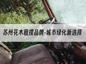 苏州花木租摆品牌-城市绿化新选择