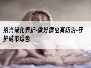 绍兴绿化养护-做好病虫害防治-守护城市绿色