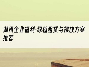 湖州企业福利-绿植租赁与摆放方案推荐